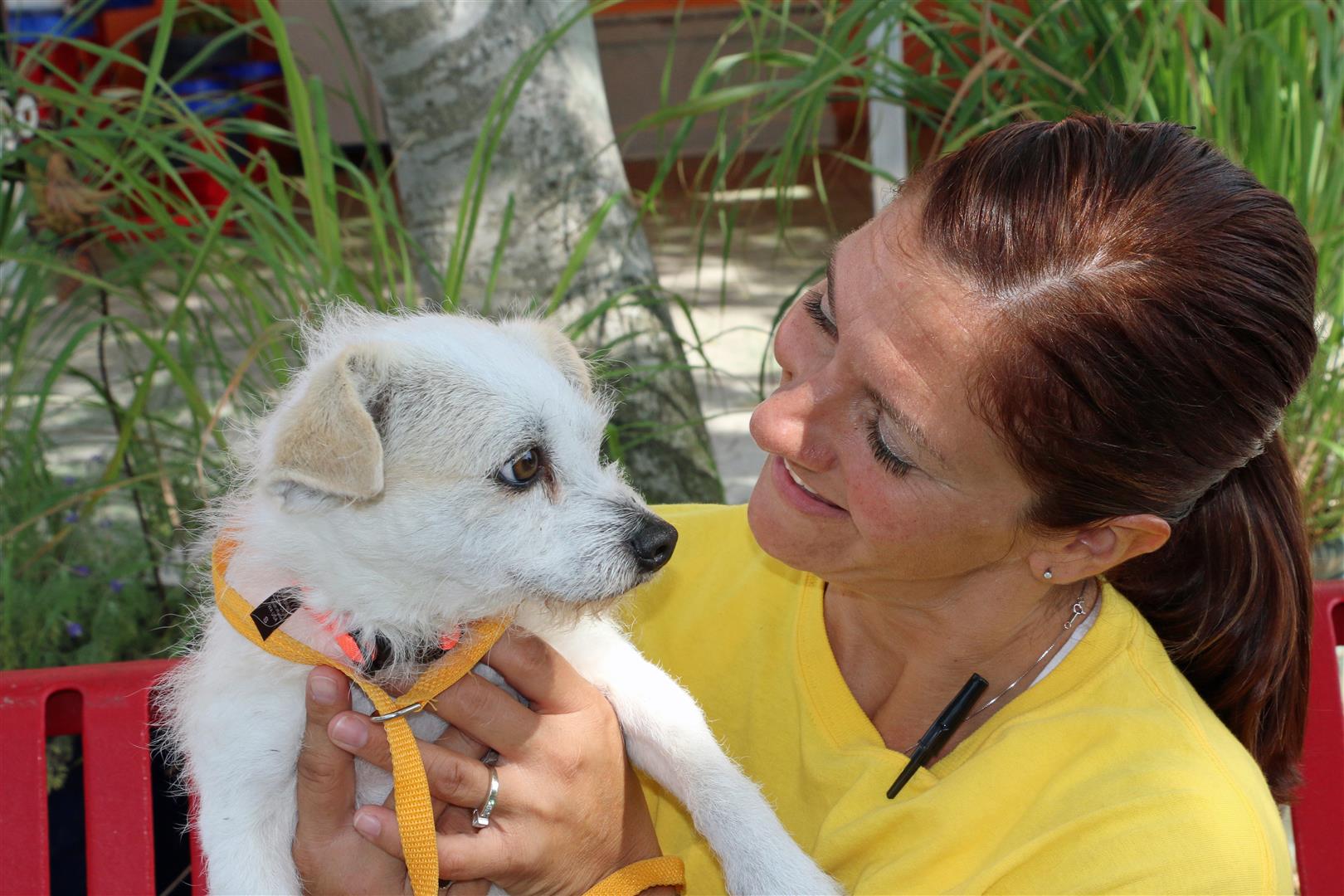 Animal Services Volunteer and dog