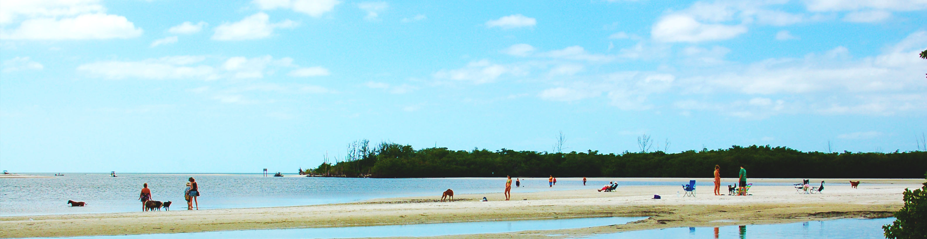 Dog parks and play areas in Fort Myers & the Beach Macaroni KID Fort Myers Fort Myers Beach