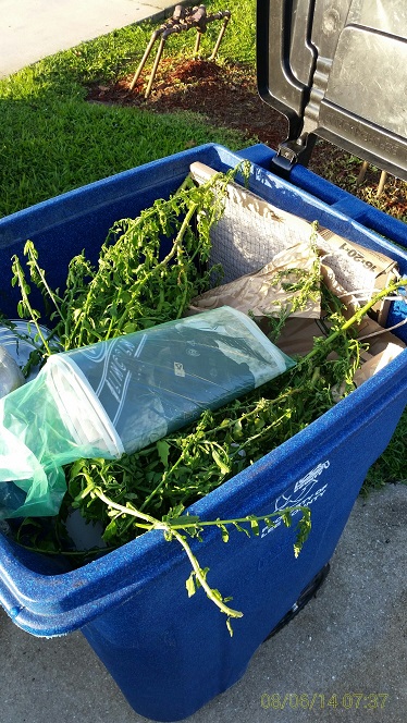 Recycle Cart Contaminated with Yard Waste.JPG