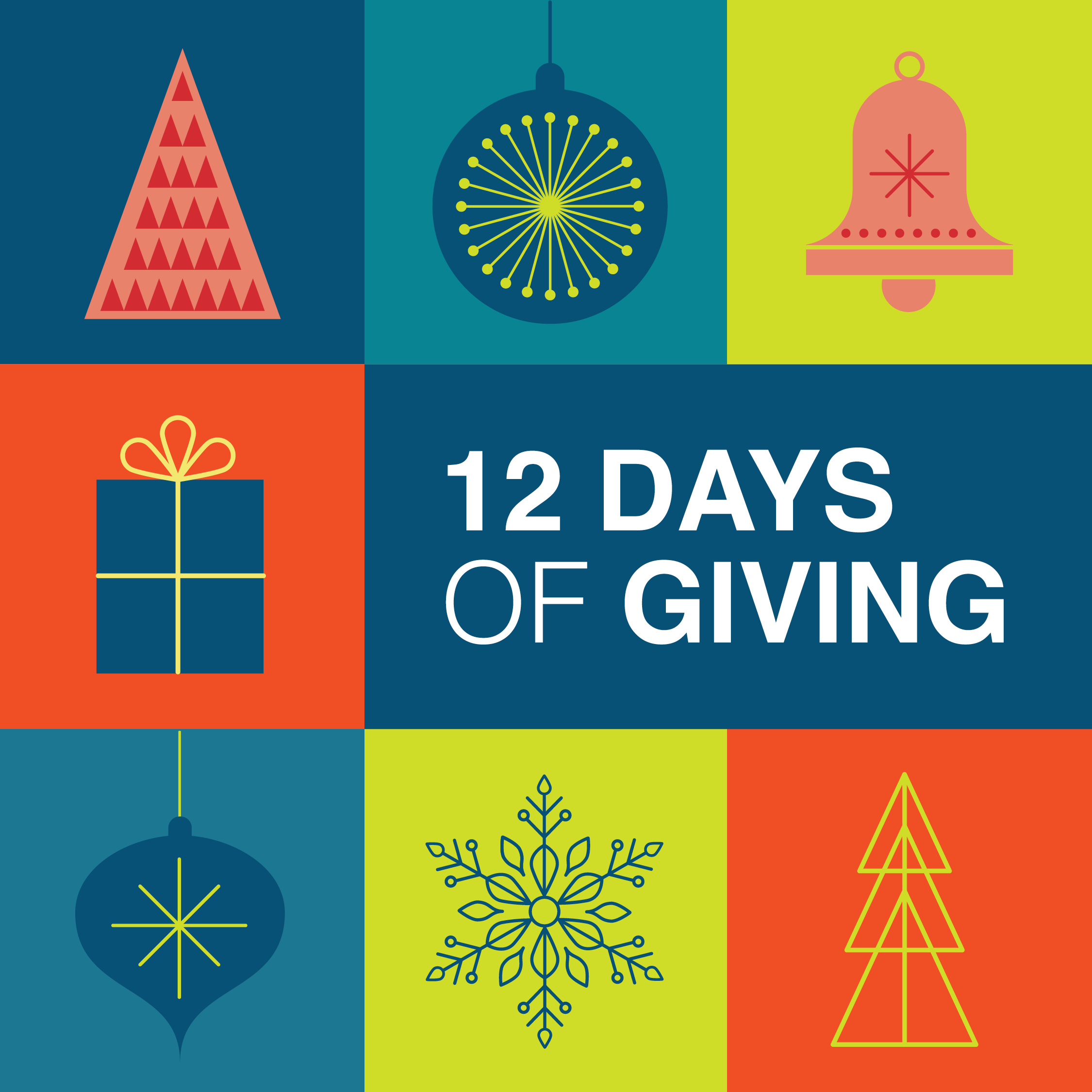 12 Days of Giving _ Social.jpg