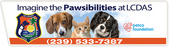 animal services pawsibilities