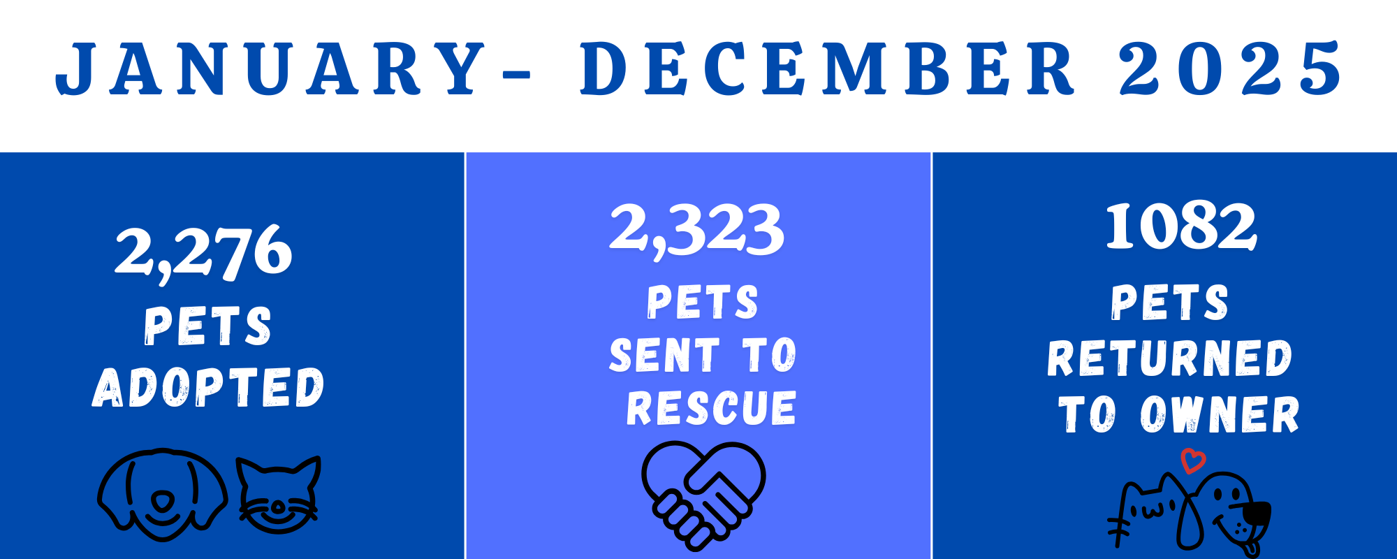 1,216 (950 x 500 px) (850 x 700 px) (700 x 850 px) (20 x 12 in) (20 x 8 in) (3).png