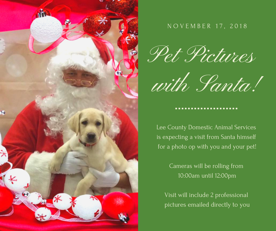 PicsWSanta.png