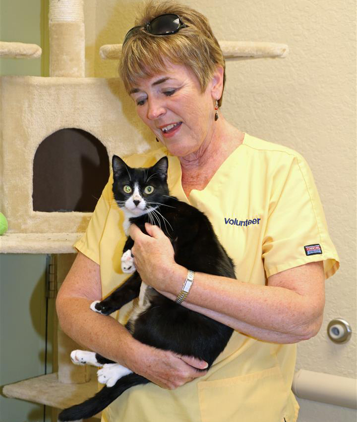 Lady holding cat