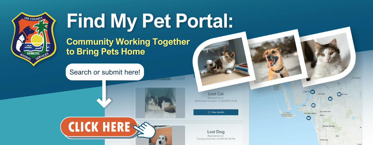 Find My Pet Portal