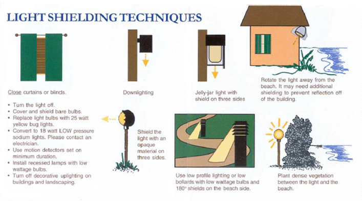 picture of light shielding techniques
