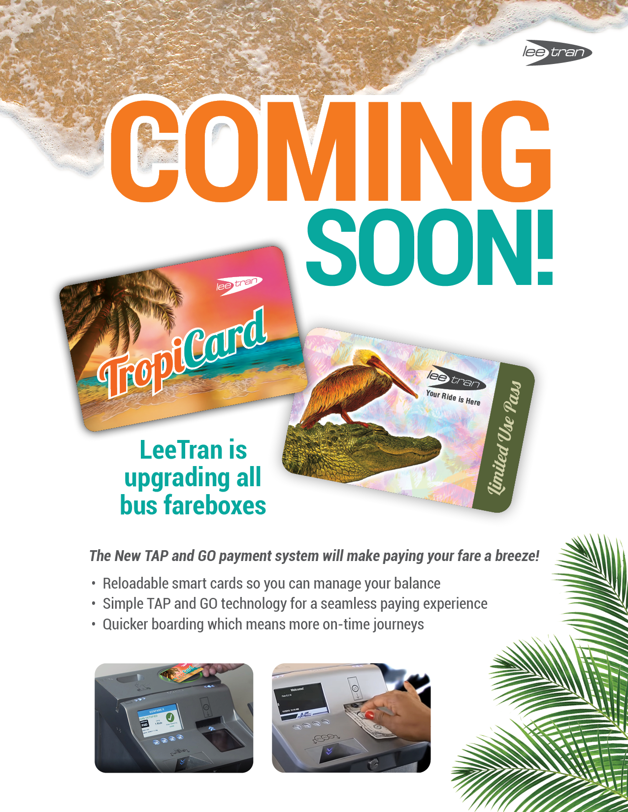 TropiCard website.png