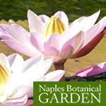 Naples Botanical Garden