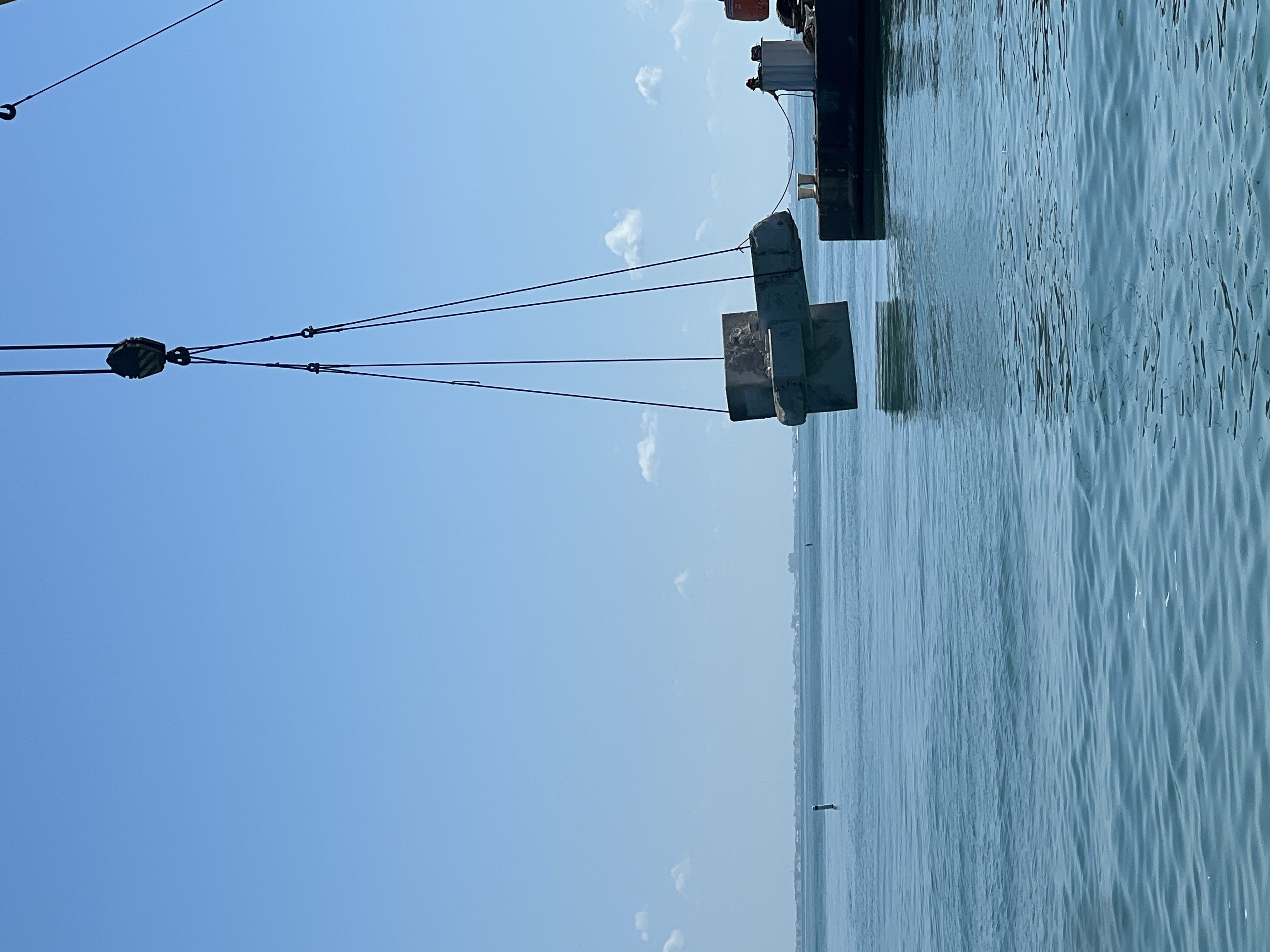 IMG_0895.jpeg