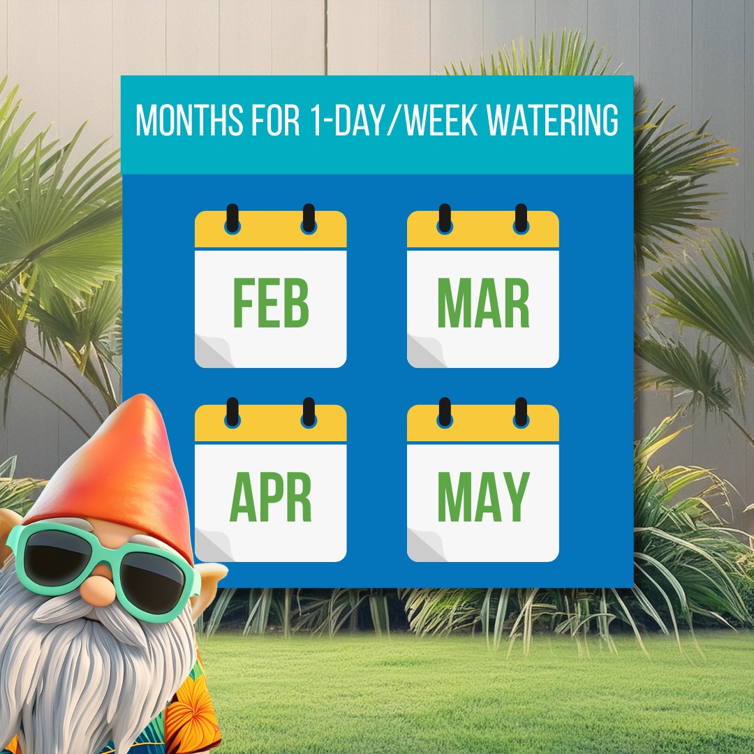 one-day watering graphic.png
