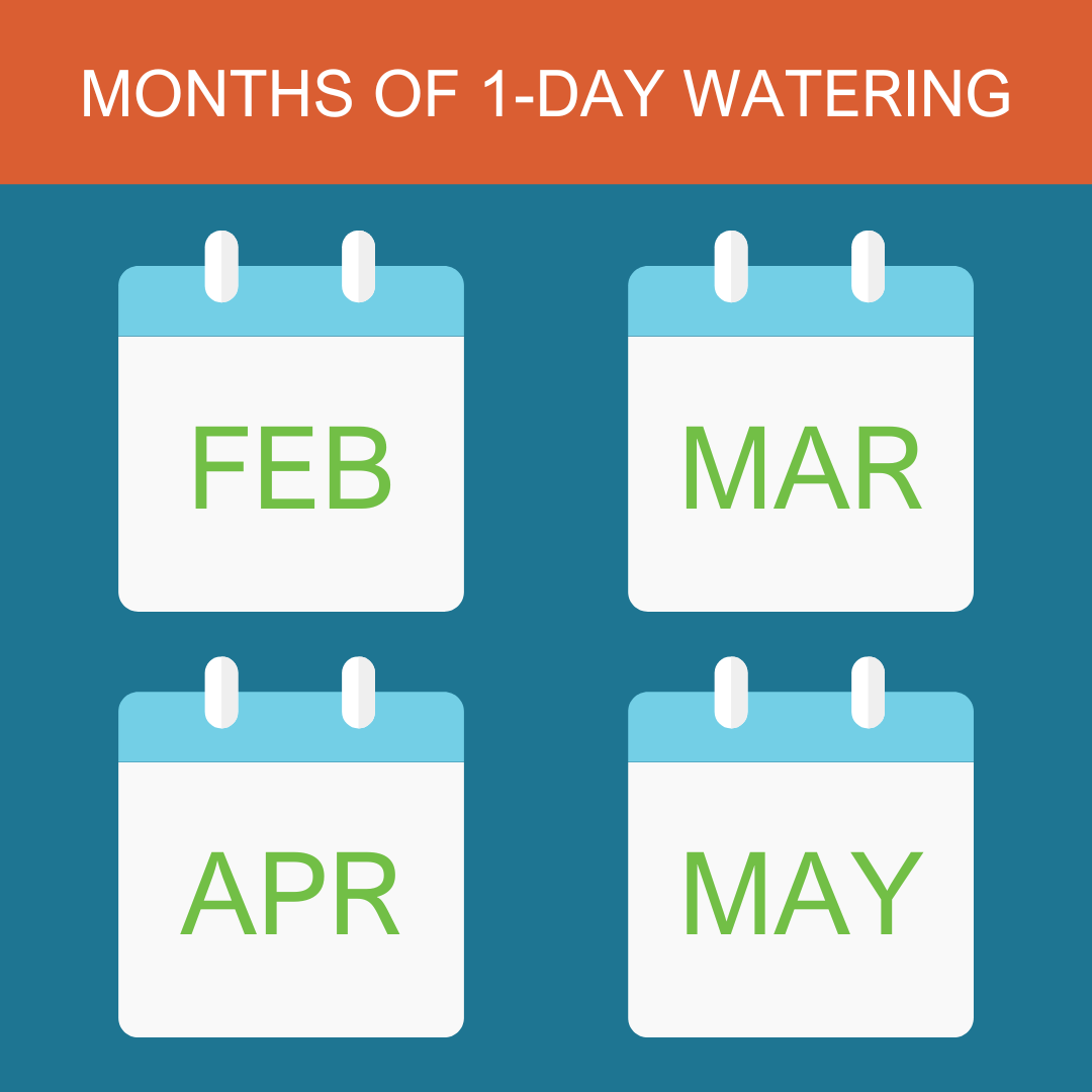 one-day watering graphic.png