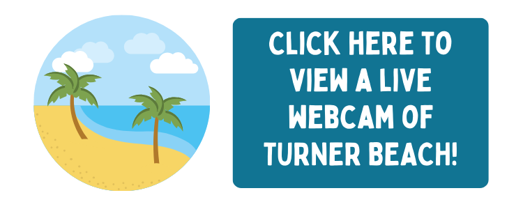 turner-beach-webcam.png