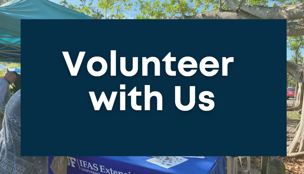 Volunteer  with Us