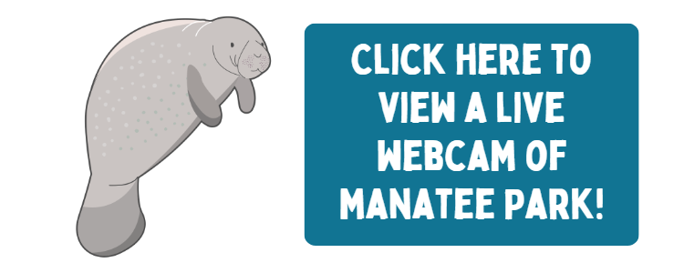 Manatee Link Banner.png