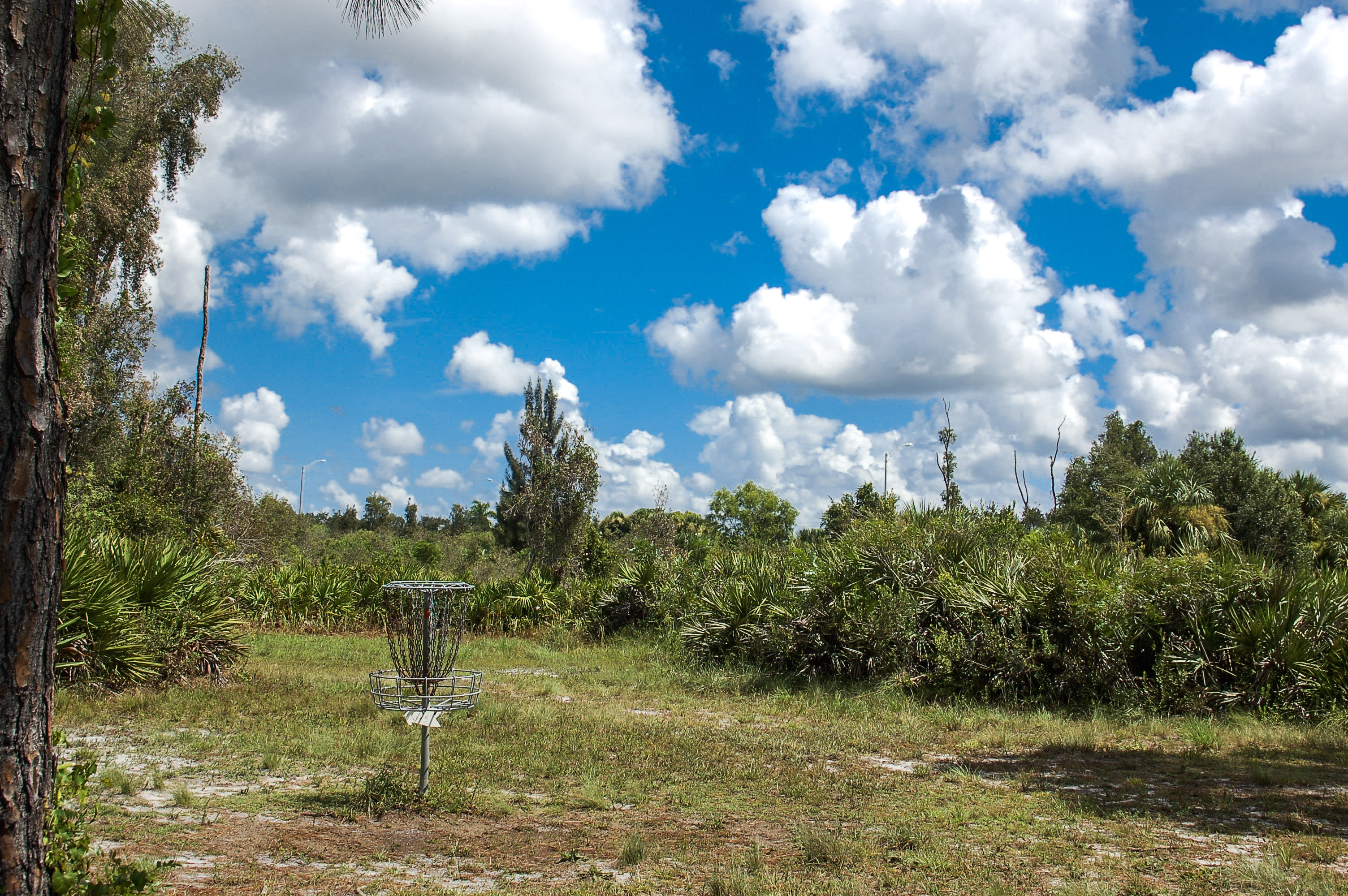 NFM Disc Golf