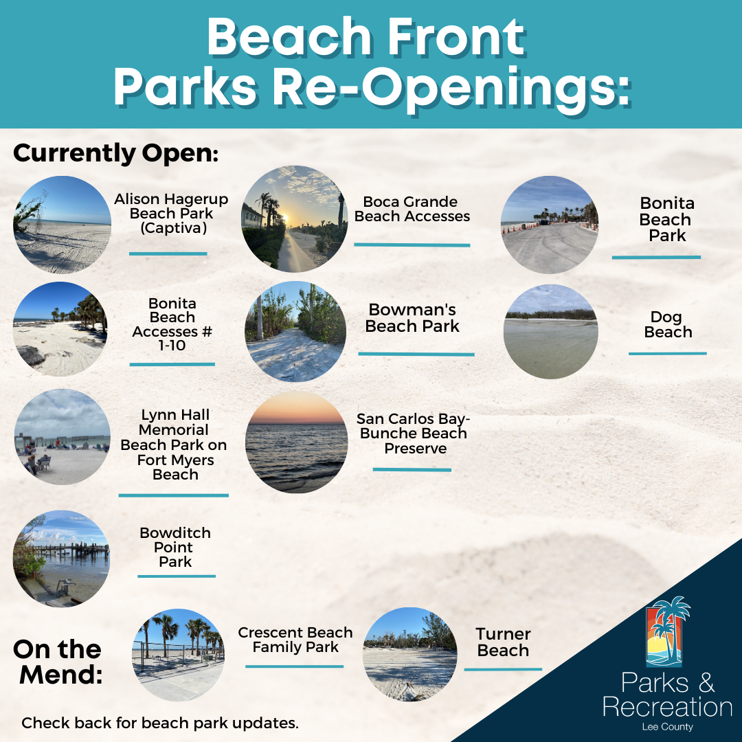 Beach Reopening Timeline.png