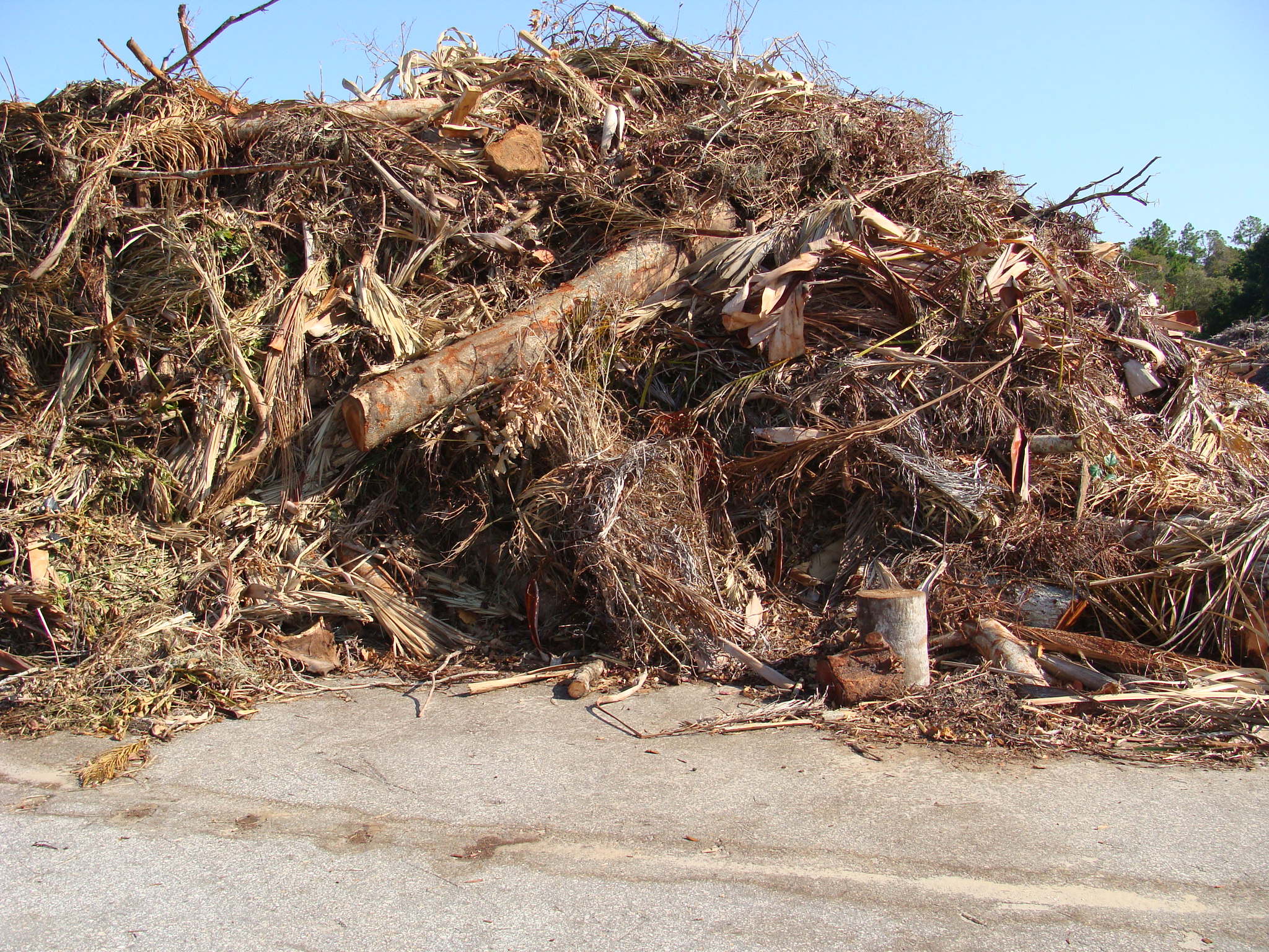 Yard Waste Pickup