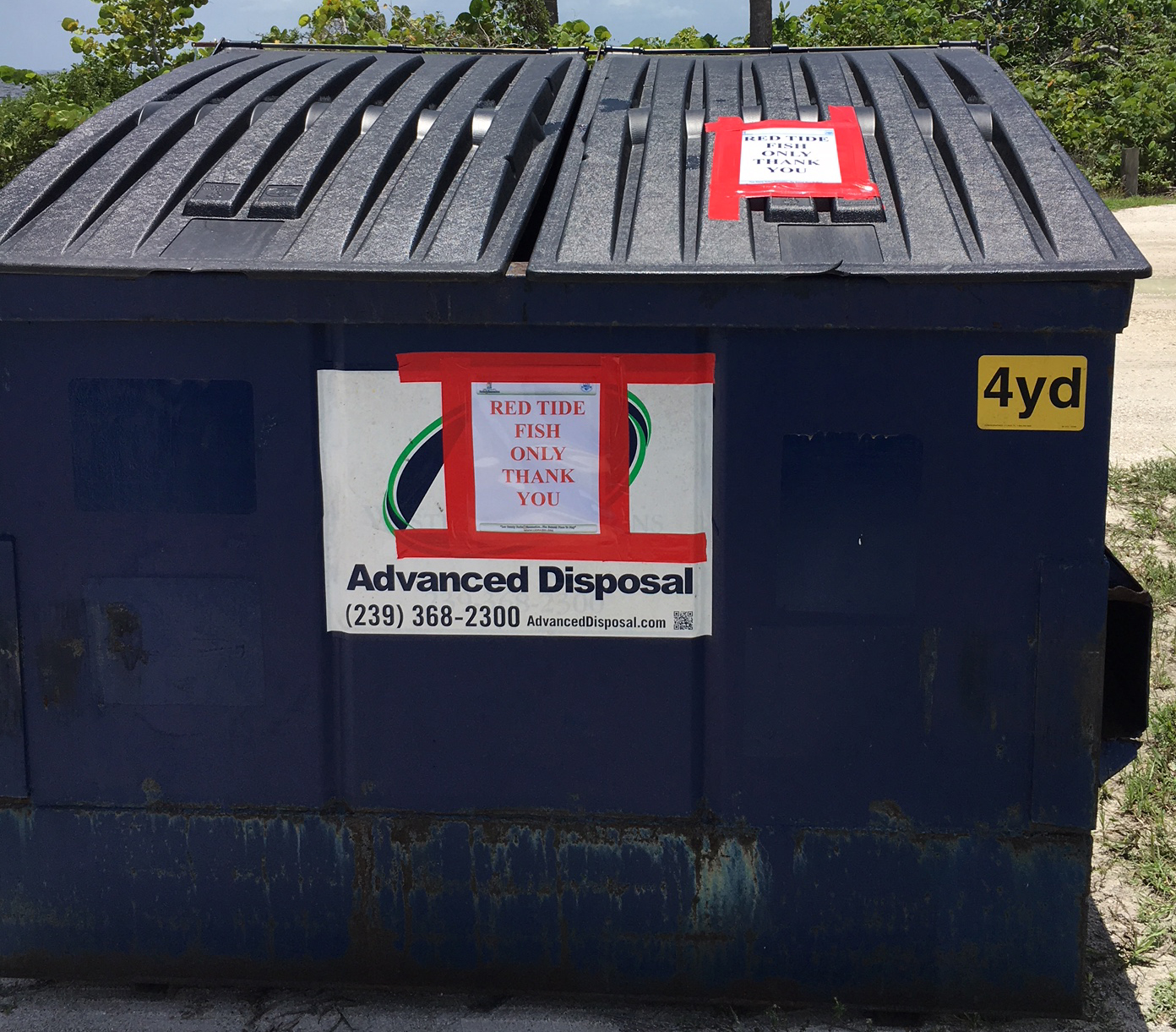 Image of dumpster available for disposal of red tide fish.  Dumpsters have attached signage saying "Red Tode Fish Only" on them.