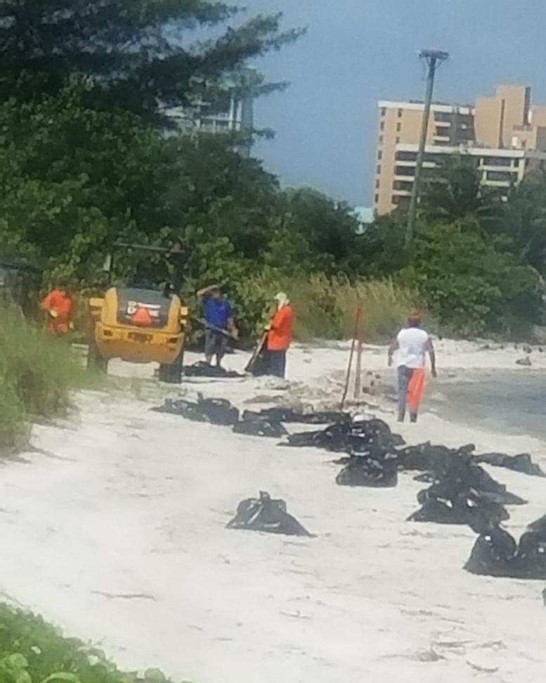 Image of Red Tide Cleanup Crew