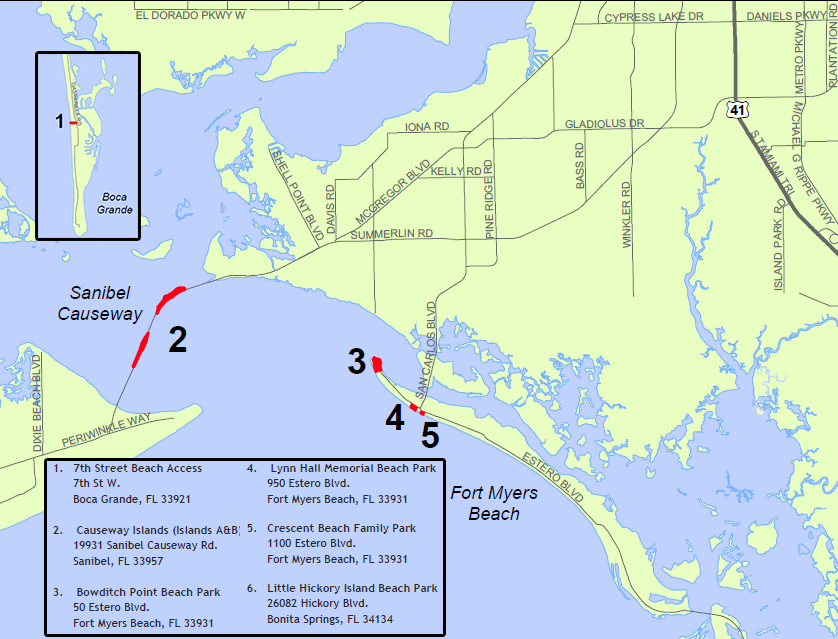 Red Tide Beach Cleanup